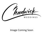 Chadwick Weddings affordable NJ PA DE photographer minister